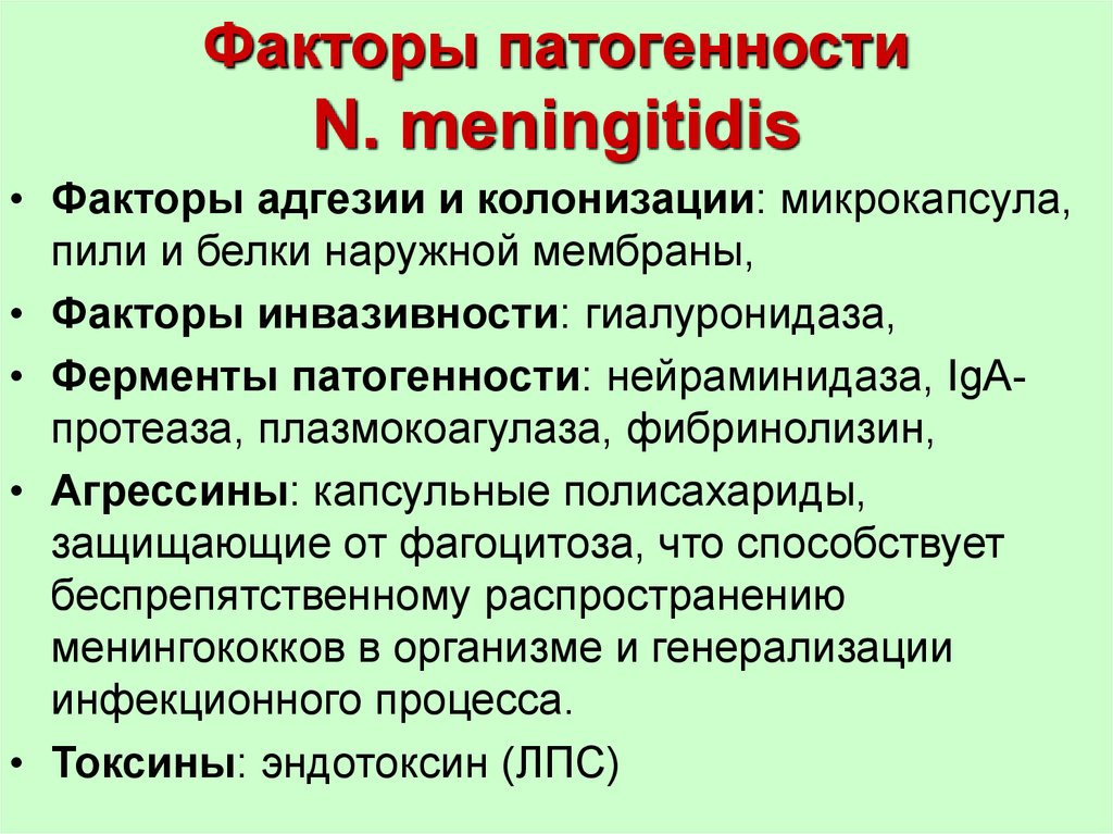 Инфекционный фактор. Факторы патогенности нейссерий менингококков. Факторы патогенности менингококков микробиология. Факторы патогенности нейссерия менингитидис. Факторы патогенности нейссерий микробиология.