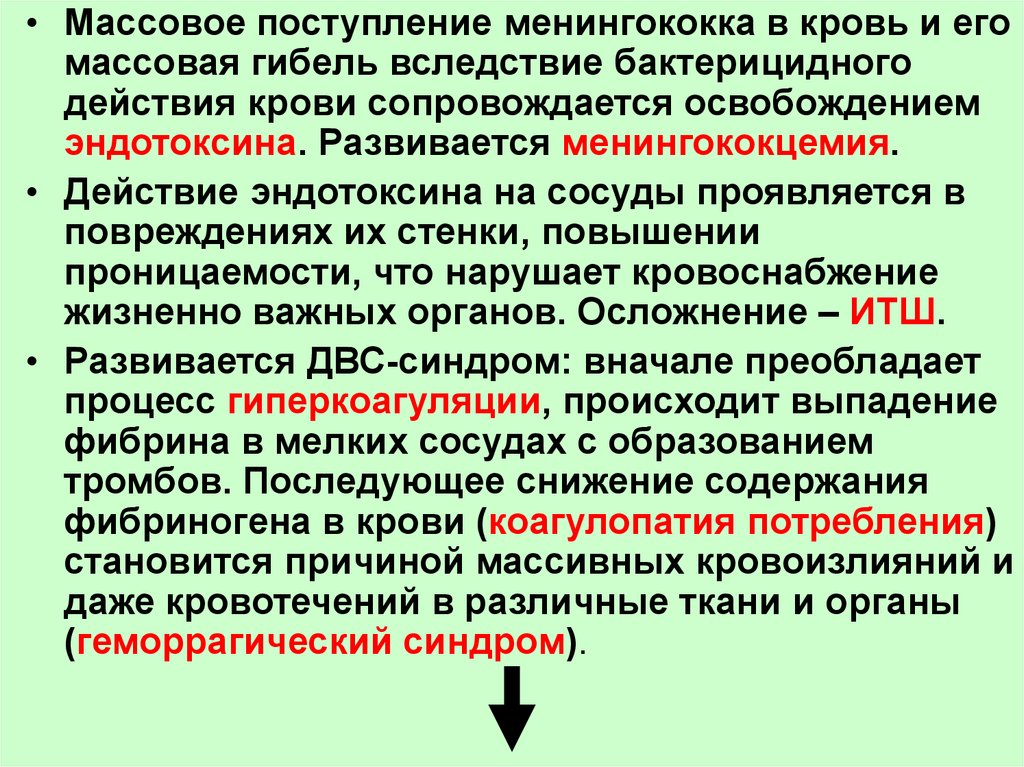 Менингококковая инфекция схема