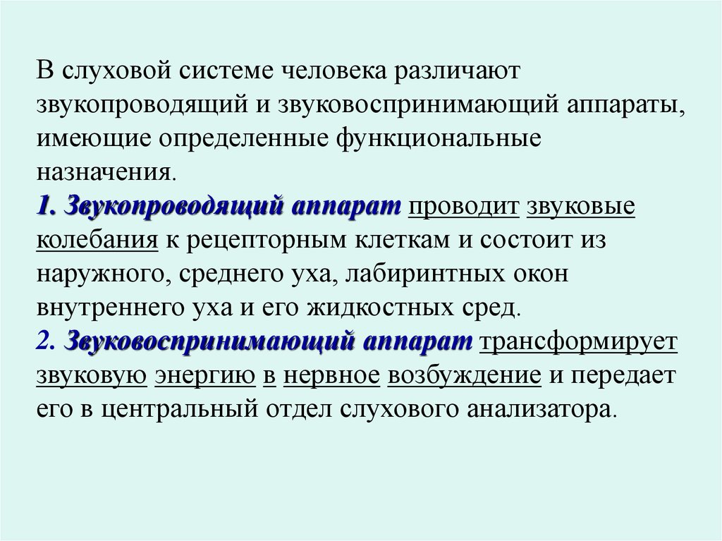 К звукопроводящему аппарату органа слуха относятся. ЗВУКОУЛАВЛИВАЮЩИЙ звукопроводящий и звуковоспринимающий аппараты.