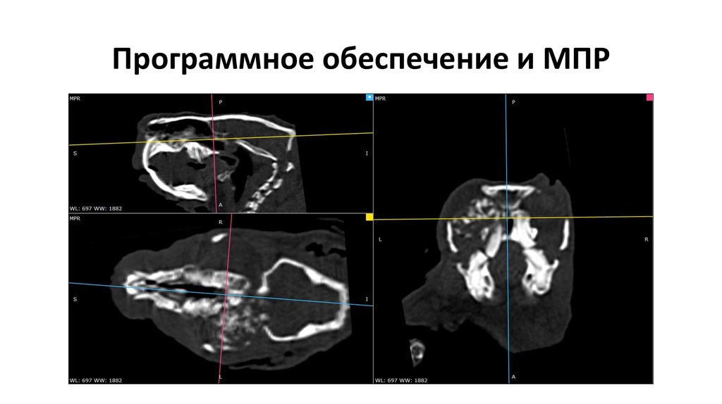 Программное обеспечение и МПР