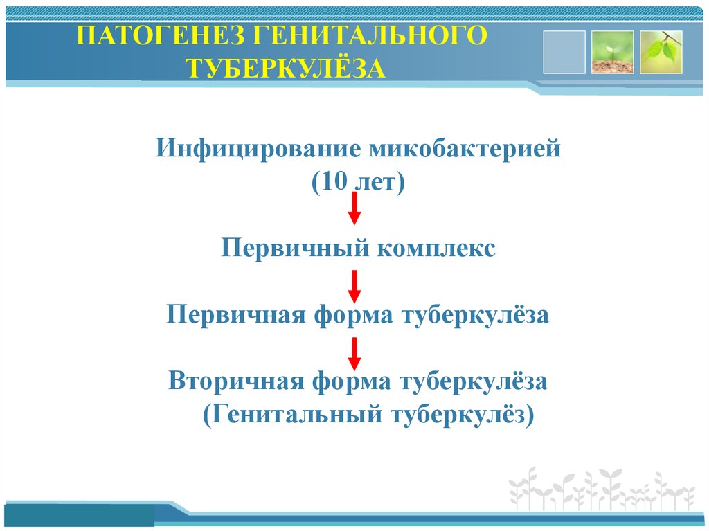 Туберкулез половых органов у женщин. Туберкулез женских половых органов патогенез схема. Туберкулез женских половых органов патогенез. Патогенез генитального туберкулеза. Классификация туберкулеза мужских половых органов.