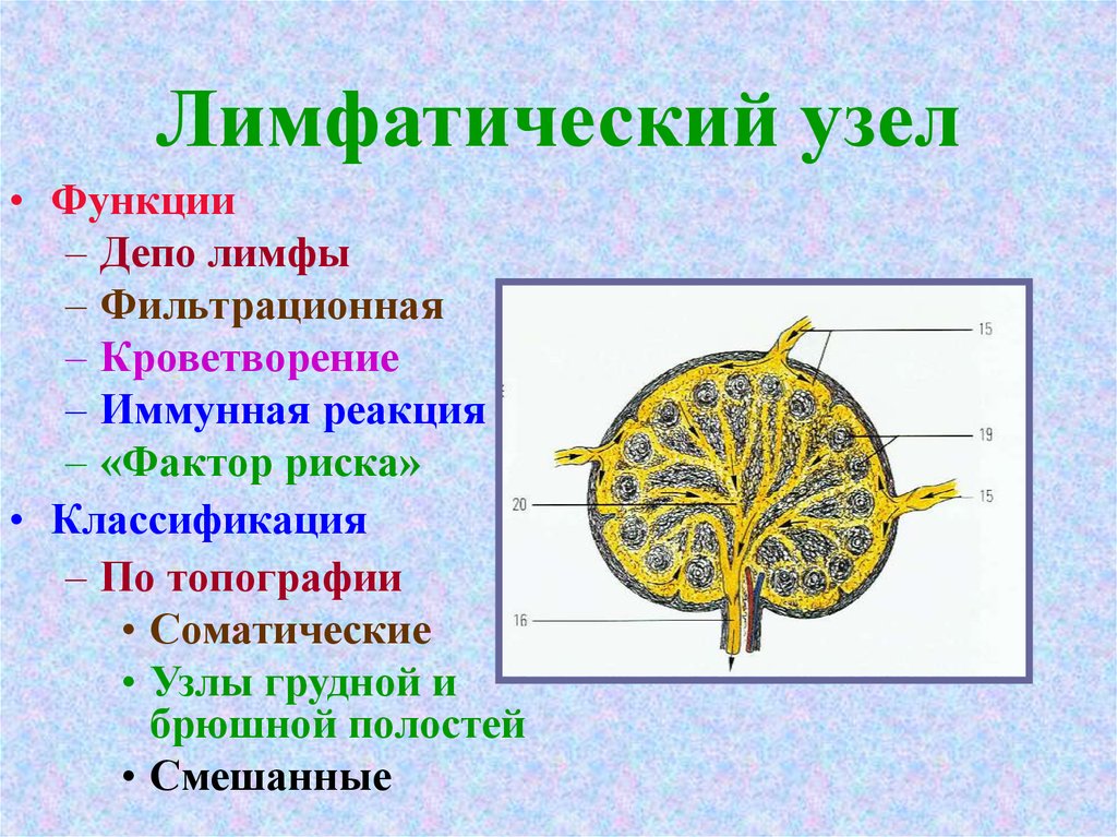 Панковка строительная 17 карта