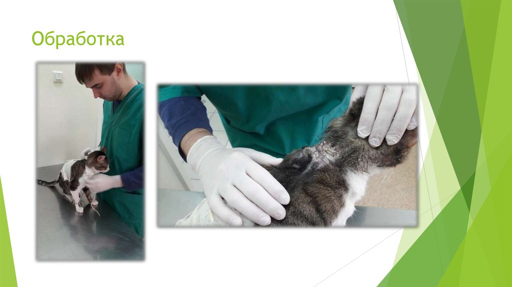 Обработка