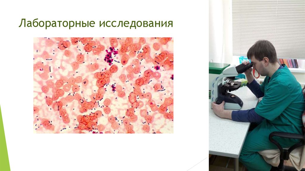 Лабораторные исследования