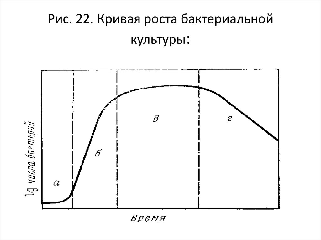 Кривая роста. Кривая роста Сакса. Кривая роста микроорганизмов. Кривая роста и развития бактериальной популяции. Большая кривая роста растений.