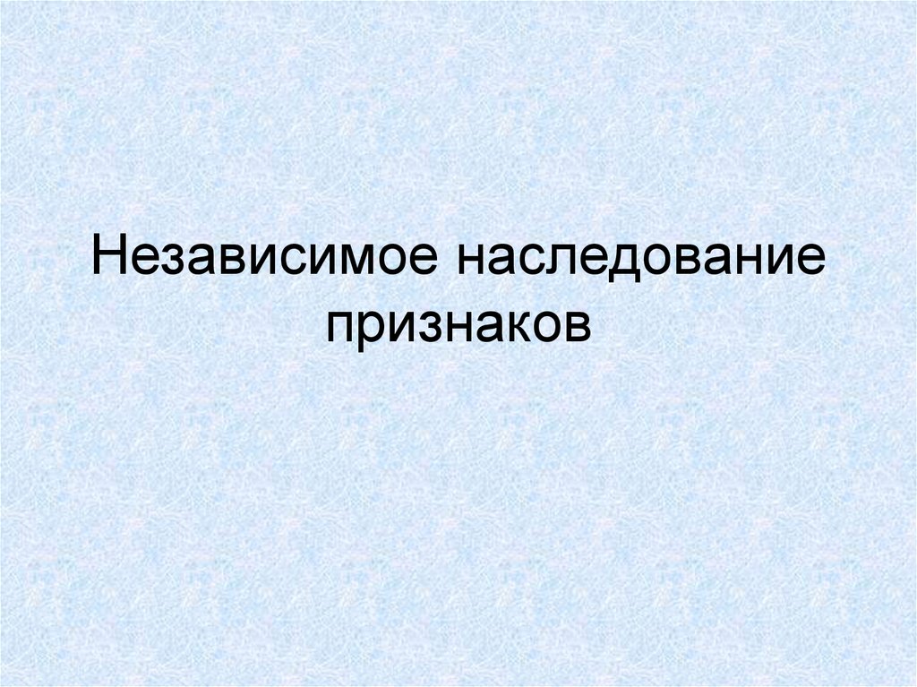 Независимое наследование признаков. Независимое наследование. Наследование признаков спасибо за внимания.