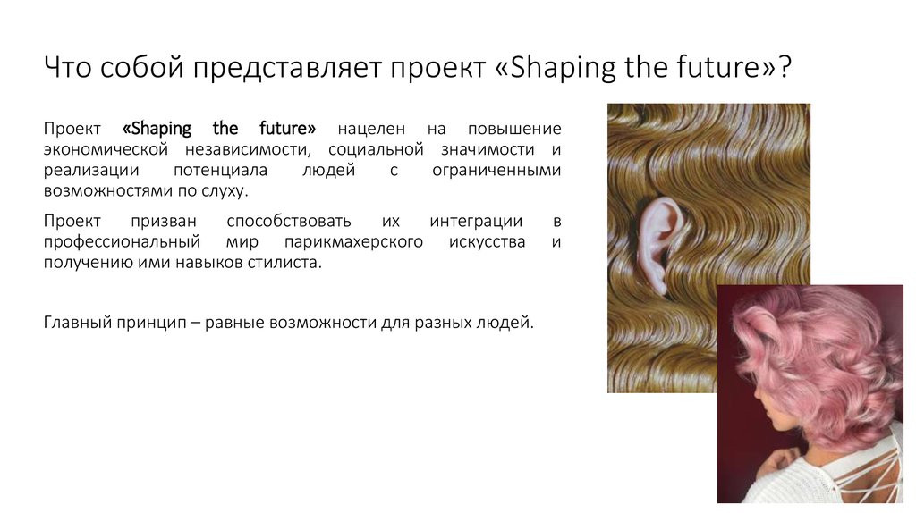 Проект представляет собой