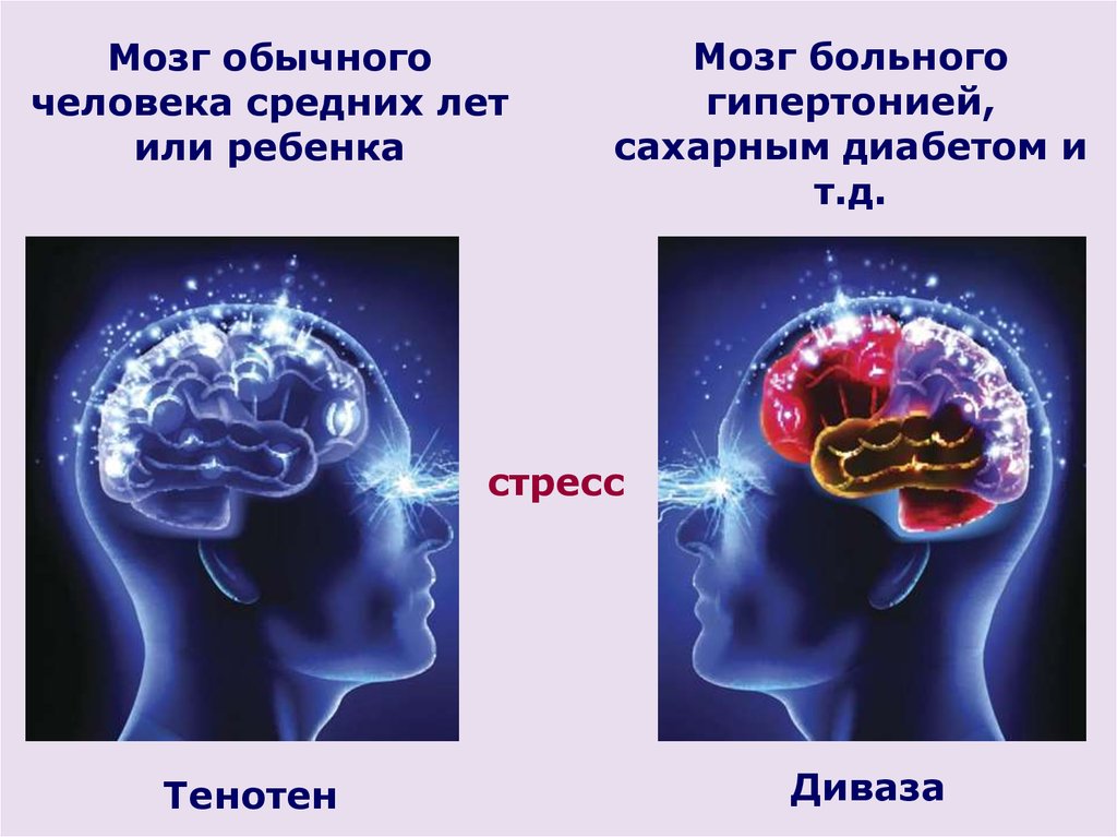 Сахарный диабет мозга. Стресс мозг. Стресс и мозг человека. Стресс и сахарный диабет.