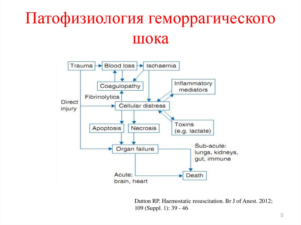 Патофизиология в картинках