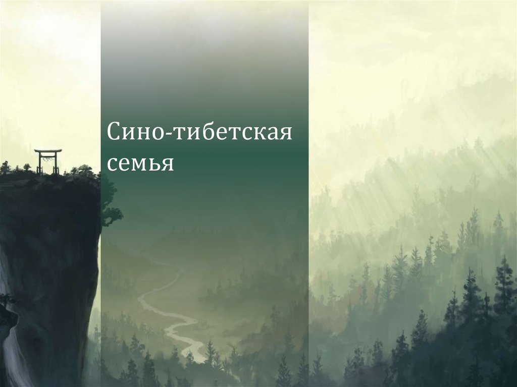 Сино тибетская семья. Сино тибетская семья слайды. Сино тибетская. Сино тибетская семья дерево.