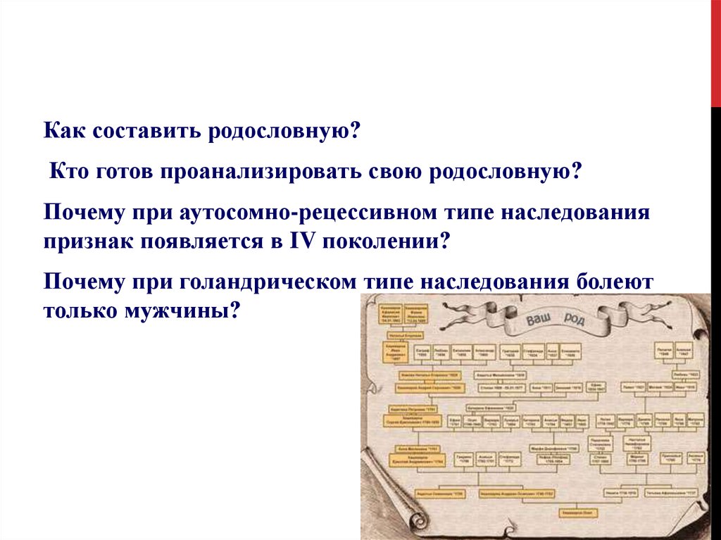 Задачи на голандрическое наследование. Голандрический Тип наследования. Признаки голандрического типа наследования. Тип наследования признака в ряду поколений изучает метод. Почему генеалогия актуальна.