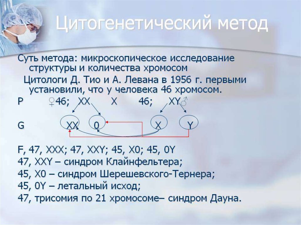 Презентация цитогенетика человека биология 10 класс