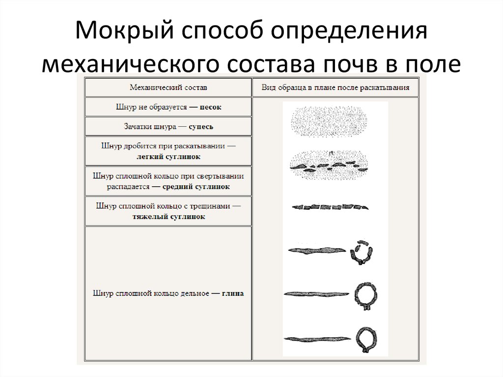 Механический состав почвы