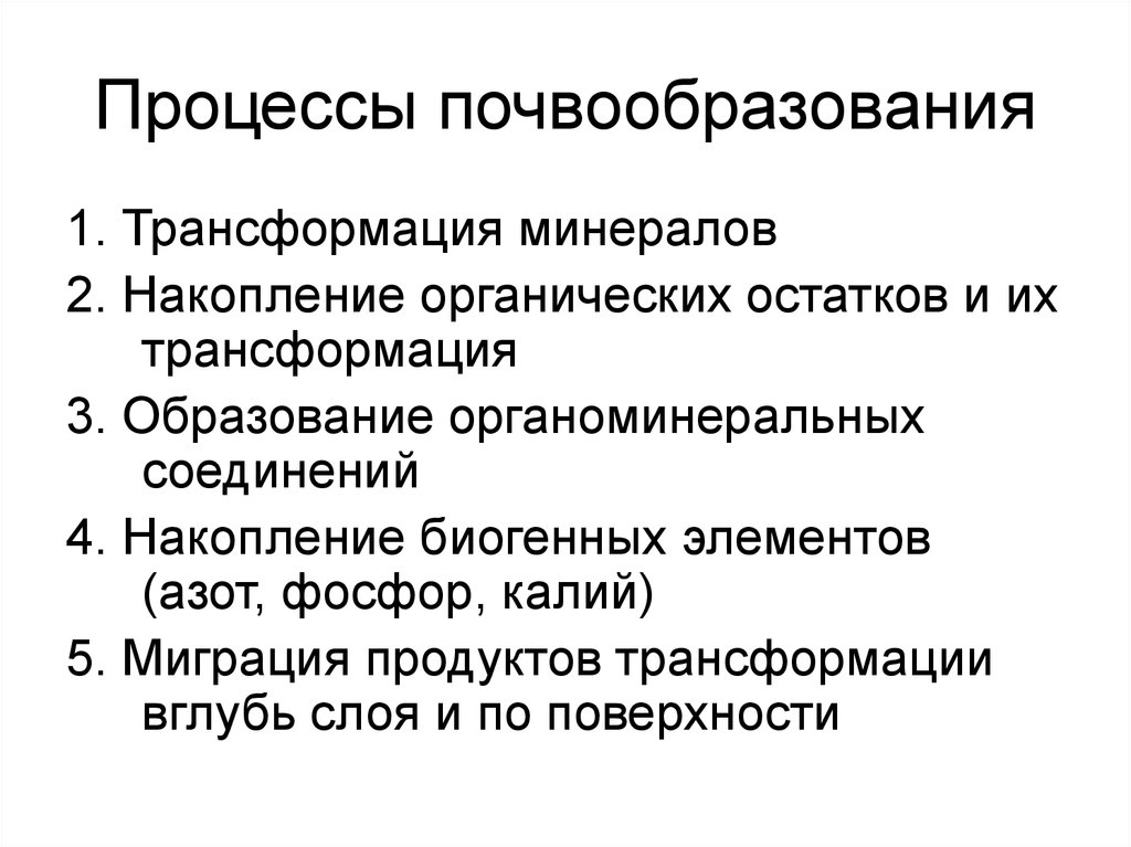 Общая схема почвообразовательного процесса и формирование почвенного профиля