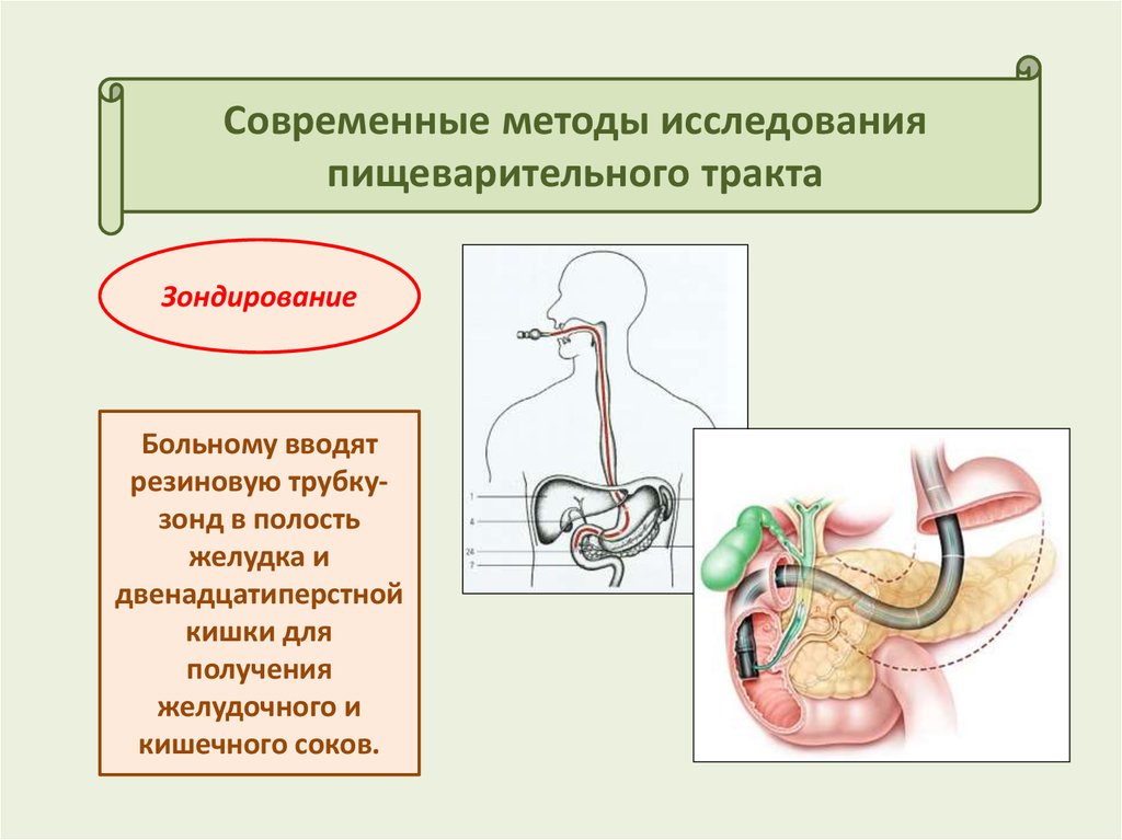 Исследование органов пищеварения у детей