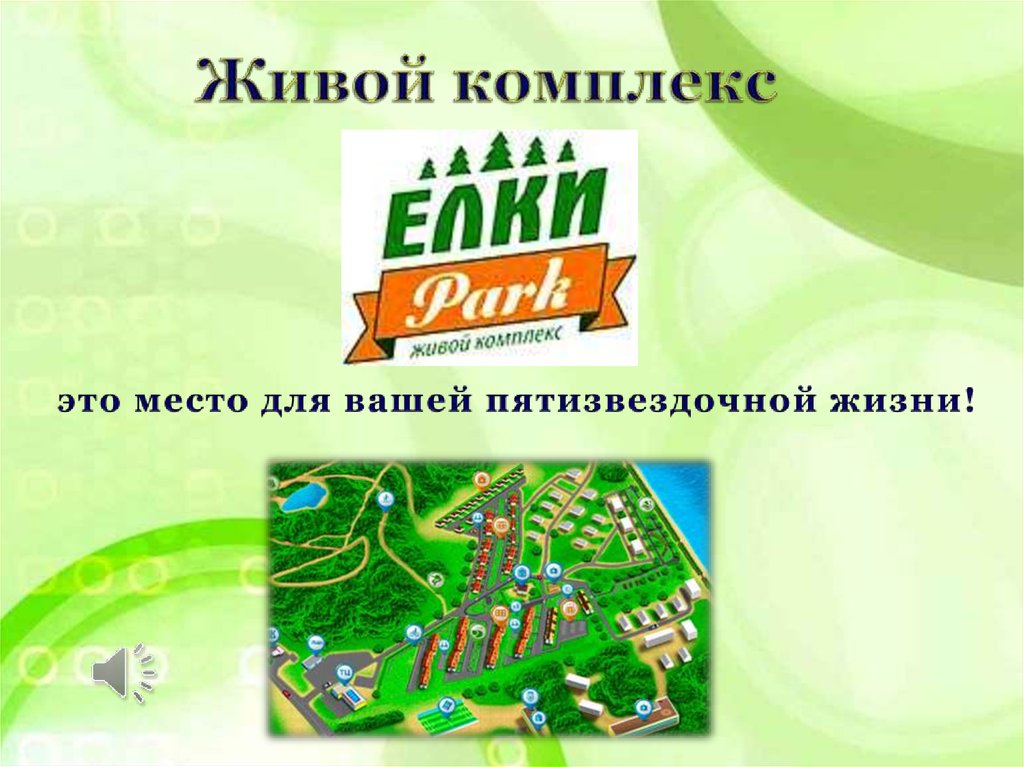 Карта парка елочки