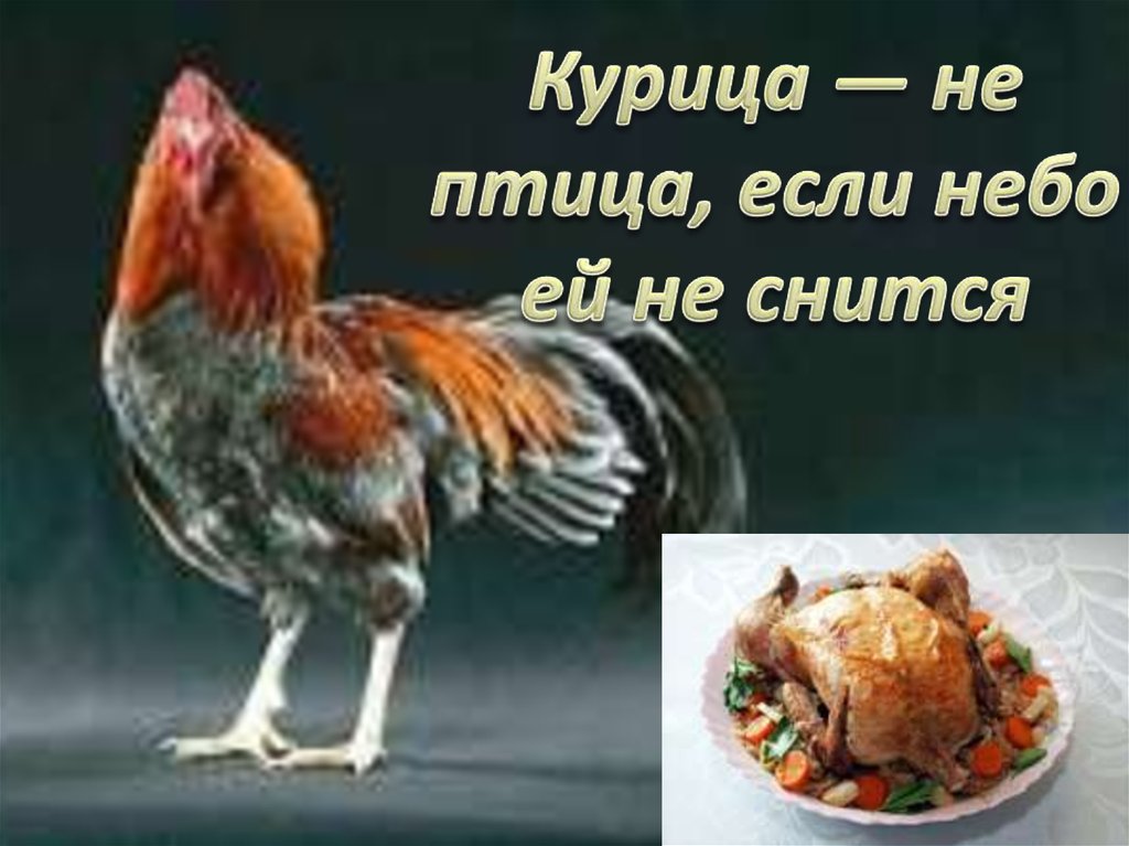 Прикольные картинки с курицей с надписями