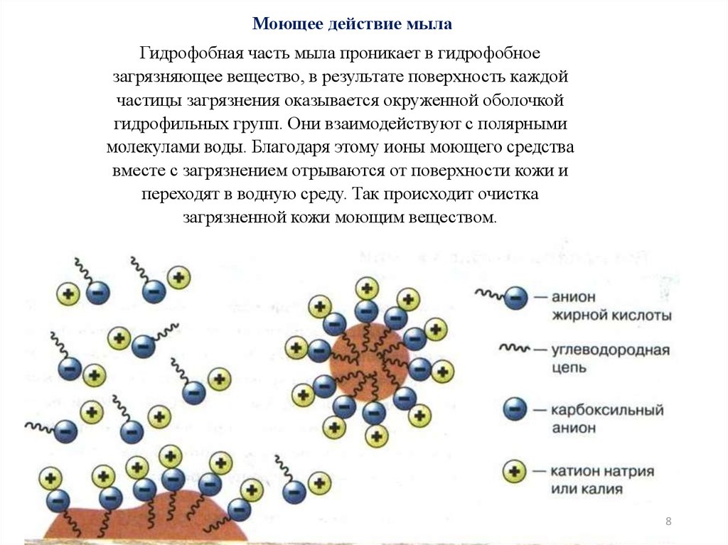 Моющее действие мыла. Механизм моющего действия мыла. Механизм действия мыла на молекулы жира. Очищающее действие мыла. Гидрофильная и гидрофобная часть молекулы мыла.