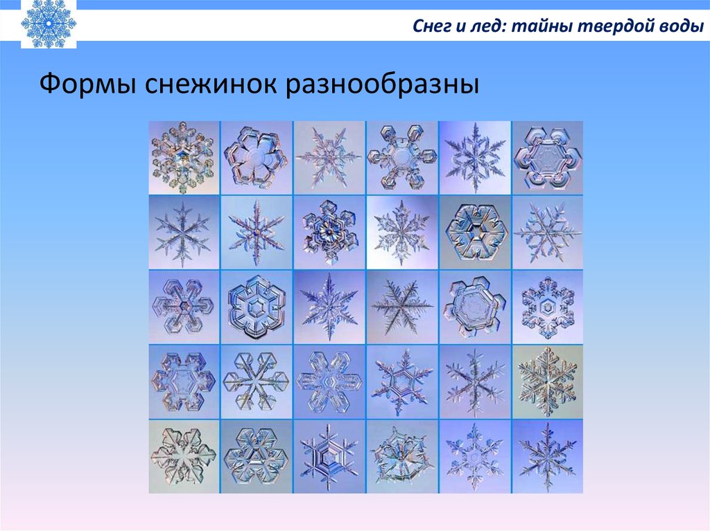 Презентация снег и лед. Снег и лед сравнение. Свойства снега и льда для дошкольников. Тема проекта снег и лед. Свойства снега.