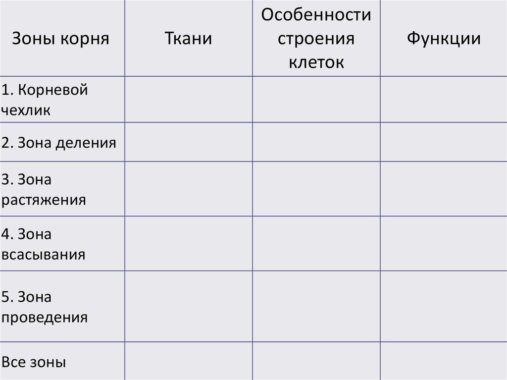 Зона всасывания ткань. Зоны корня ткани особенности строения клеток функции таблица. Заполните таблицу особенности строения корня. Заполните таблицу зона корня строение функции. Заполните таблицу строение корневых.