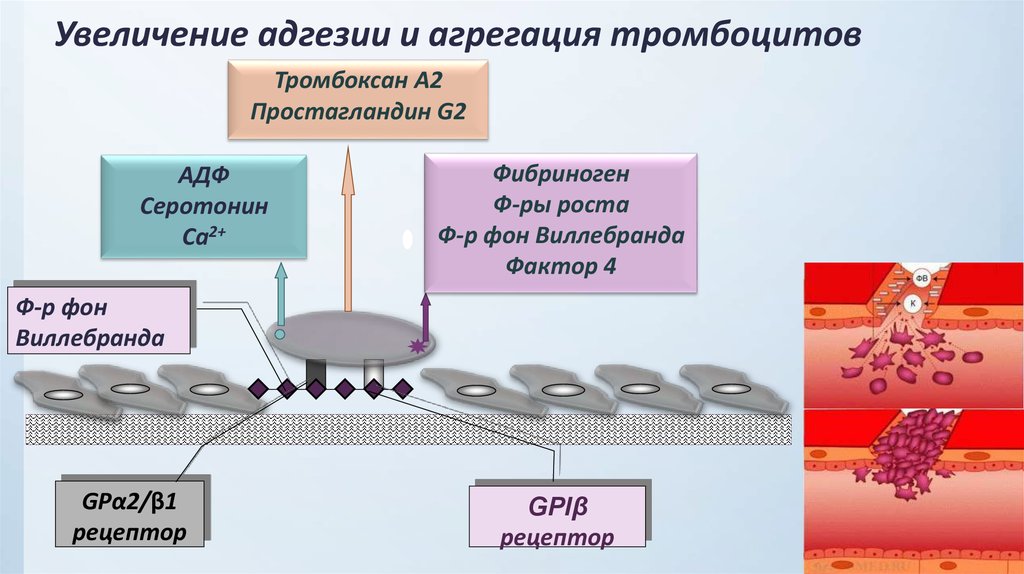 Фактор усиления