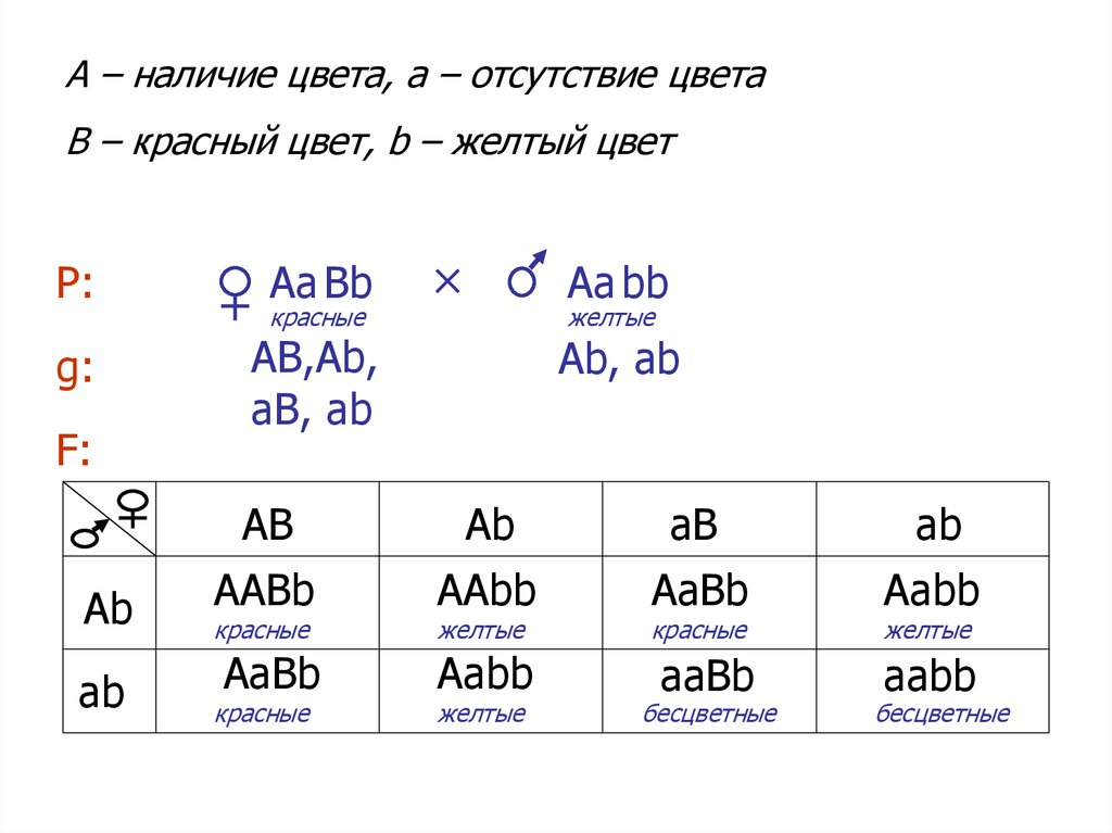 Схема aabb x aabb