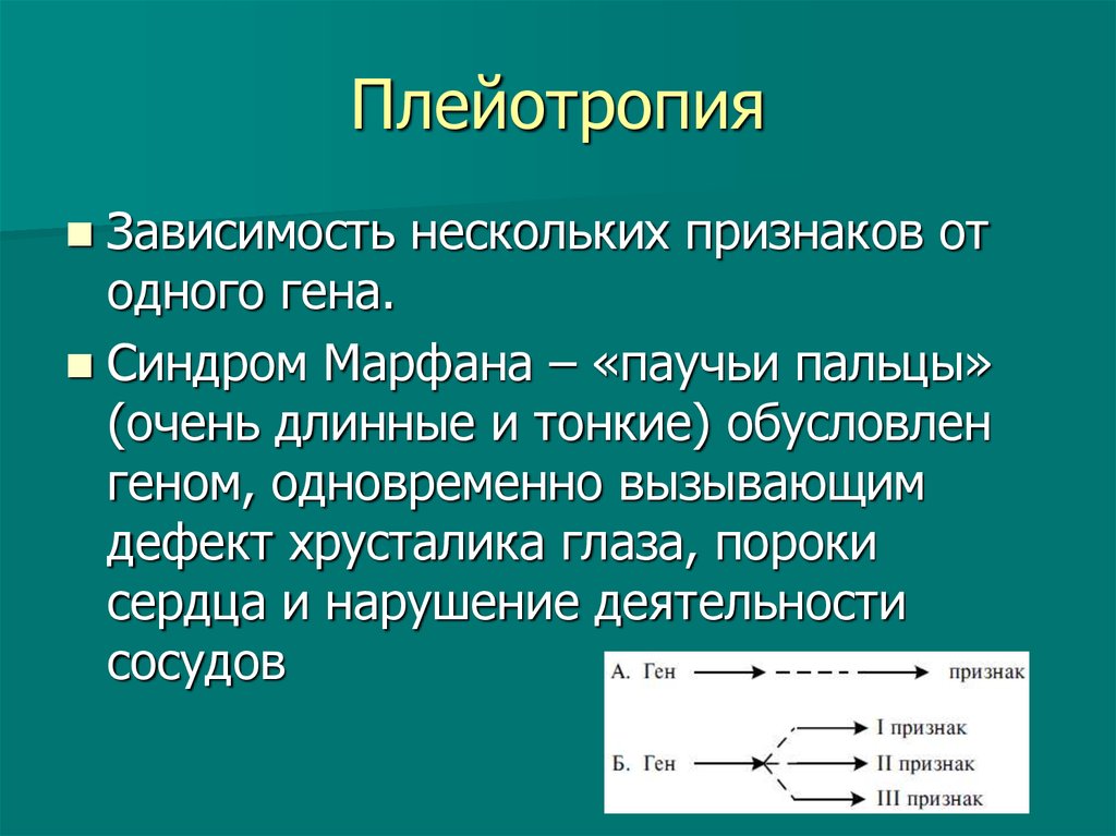 Неаллельные гены презентация