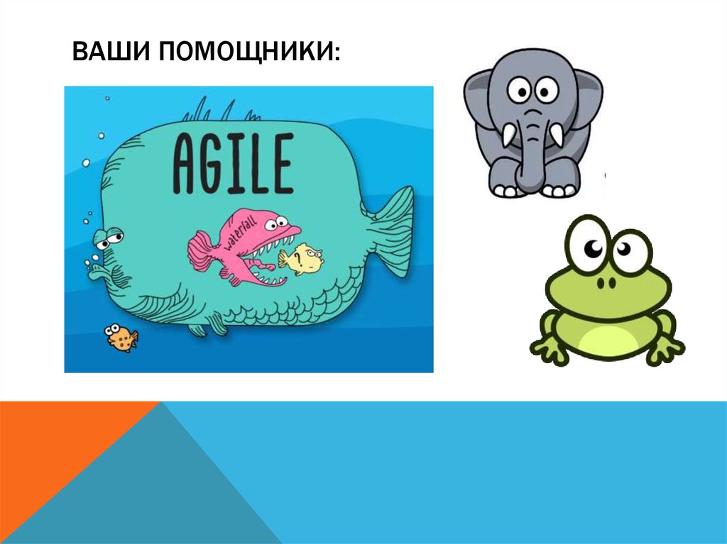 Ваши помощники: