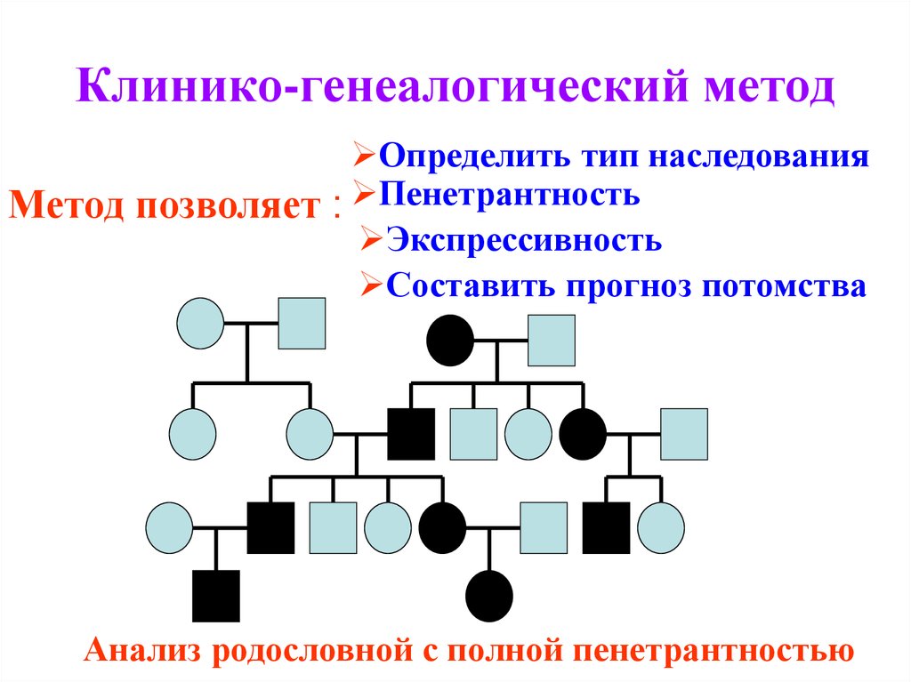 Характеристика генеалогического метода