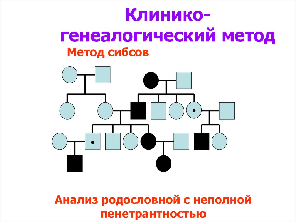 Семейный метод. Что такое клинико-генеалогический метод исследования. Клинико-генеалогического метода. Пример генеалогического метода. Родословная клинико генеалогический метод.