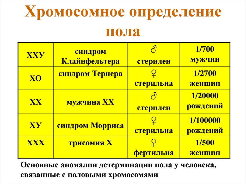 Способ изображения гомогаметного пола