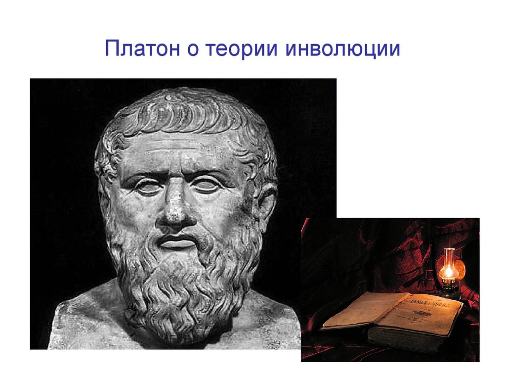 Платон теория происхождения. Теория Платона. Теория инволюции. Теория идей Платона. Платон фото учение.