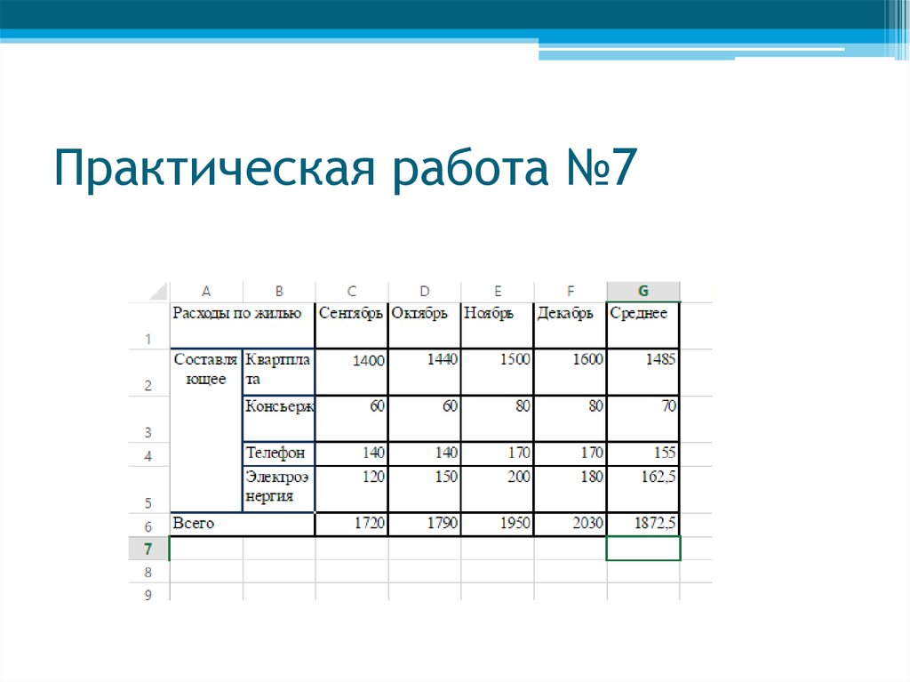 Практическая работа №7