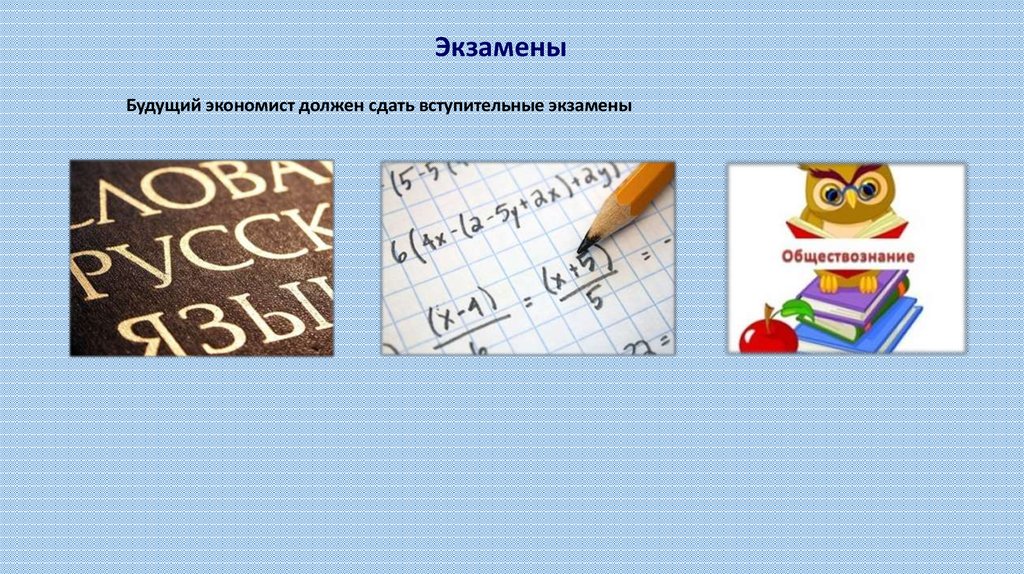 Что сдавать на экономиста. Что нужно сдавать на экономиста. Какие предметы надо сдать чтобы стать экономистом. Что надо сдавать на работу экономистом. Как нужна экономисту математика.