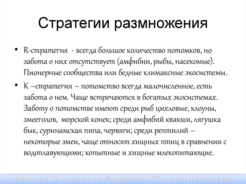 К стратеги. Стратегии размножения. Стратегии размножения популяции. Стратегии выживания организмов. К стратегиям размножения относятся.