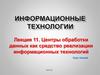 Центры обработки данных, как средство реализации информационных технологий. (Лекция 11)