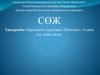 :Пародонтоз аурулары. Патогенез. Алдын алу және емдеу