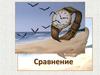 Сравнение