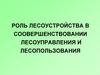 Роль лесоустройства в соовершенствовании лесоуправления и лесопользования