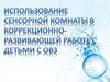 Использование сенсорной комнаты в коррекционно-развивающей работе с детьми с ОВЗ