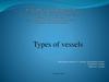 Types of vessels