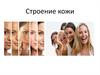 Строение кожи