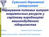 Нормування питомих витрат енергетичних ресурсів у серійному виробництві машинобудівного підприємства