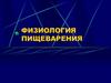 Пищеварение. Закономерности пищеварительных процессов