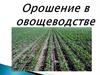 Орошение в овощеводстве