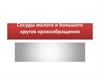 Сосуды малого и большого кругов кровообращения