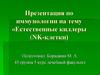 Презентация по иммунологии на тему «Естественные киллеры (NK-клетки)»