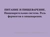 Питание и пищеварение. Пищеварительная система. Роль ферментов в пищеварении