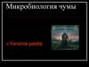 Микробиология чумы