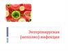 Энтеровирусная (неполио) инфекция